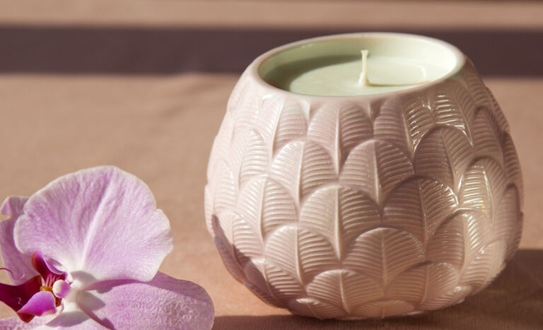 Peacock Collection Peacock Collection