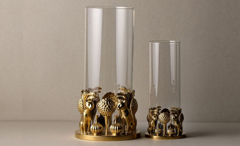 Ira Udaipur Ira Udaipur