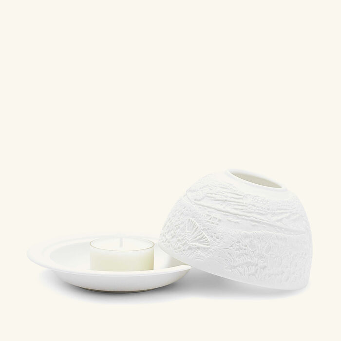 bernardaud butterflies lithophanie