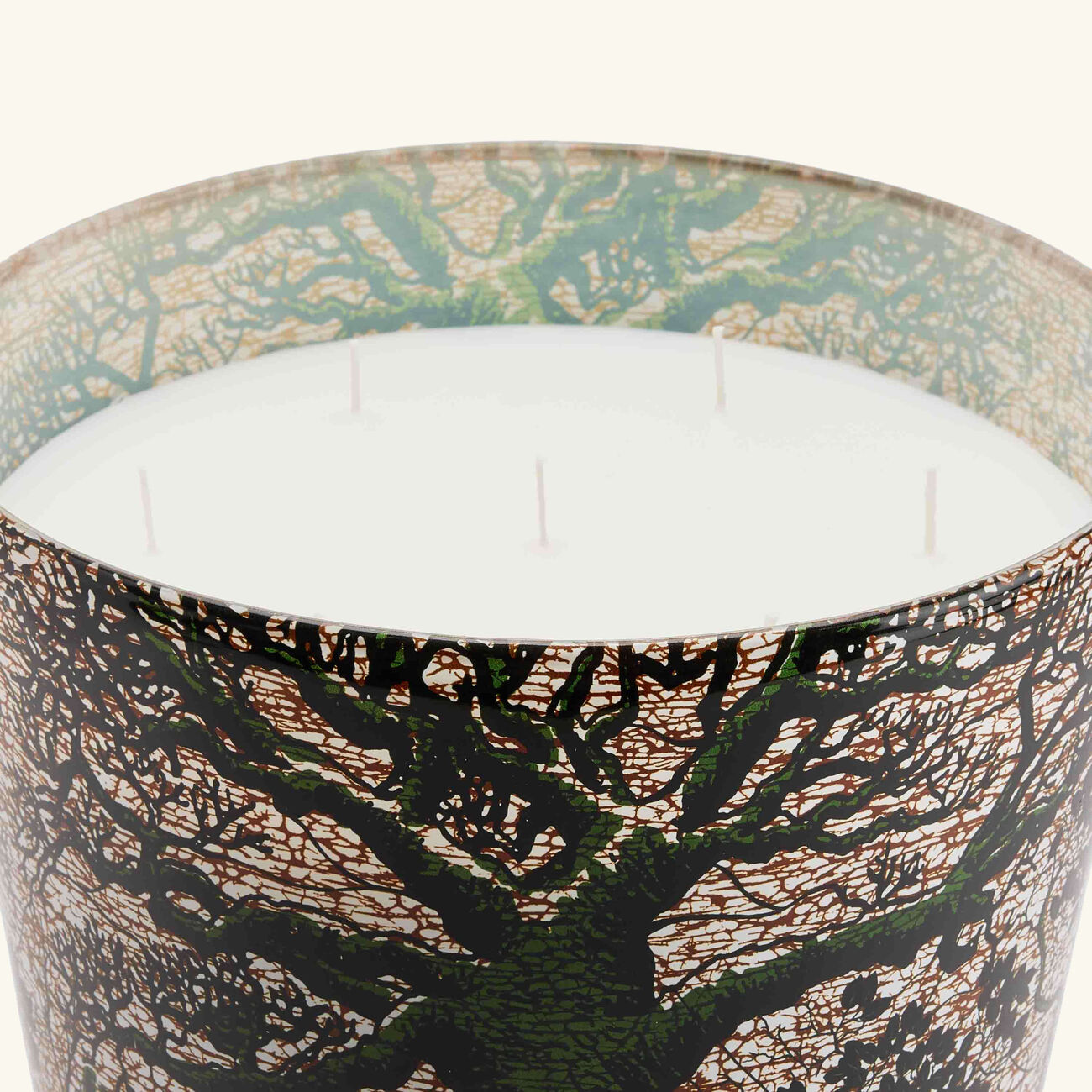 Sacred Trees Kani Candle Maxi Max baobab collection sacred trees kani candle maxi max