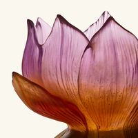 daum jardin de lotus vase medium