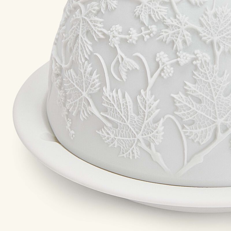 Grapes Lithophanie bernardaud grapes lithophanie