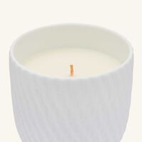 bernardaud sacred lily tumbler with candle