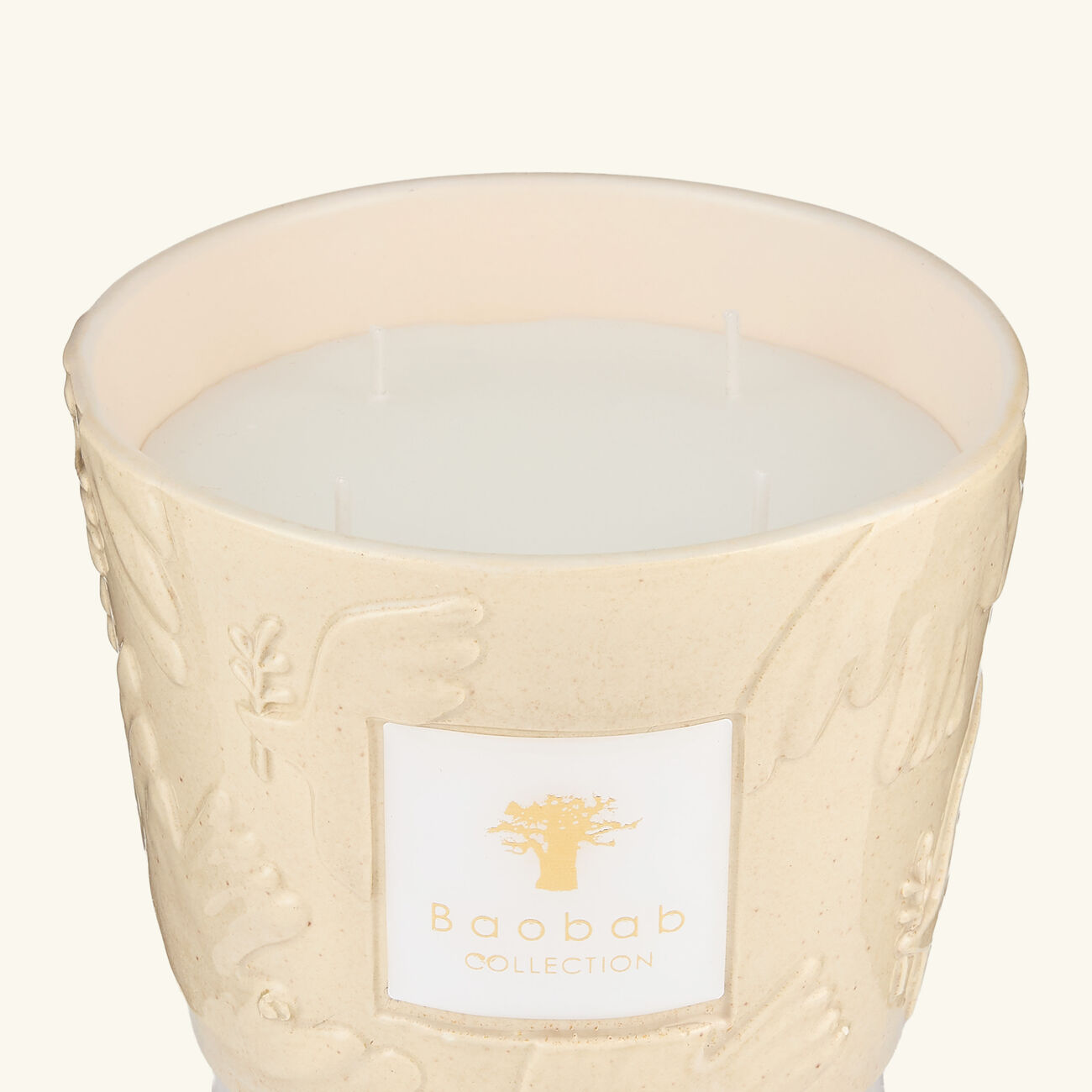 baobab collection paloma candles max 10