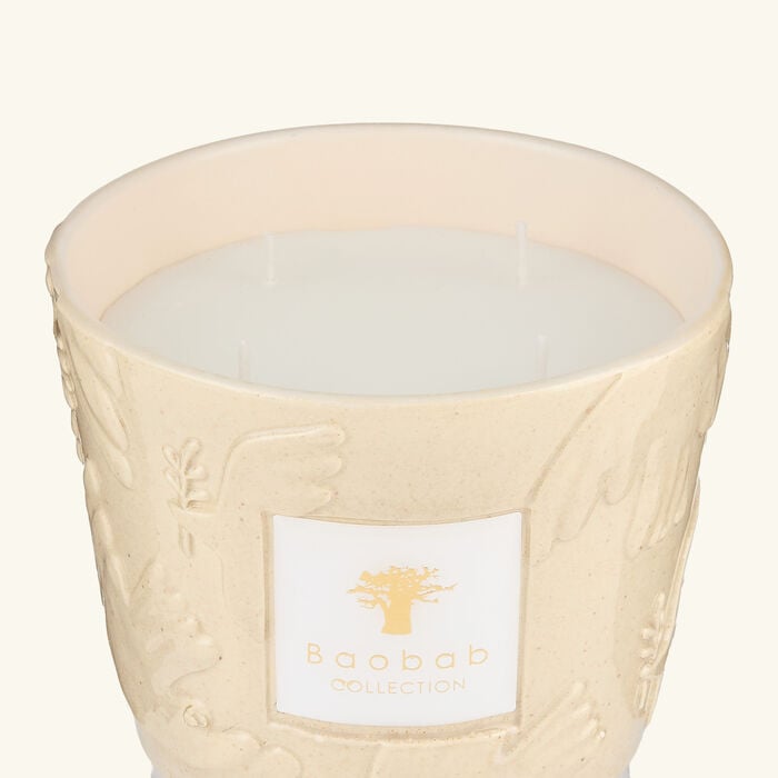 baobab collection paloma candles max 10