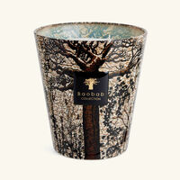 Sacred Trees Morondo Candle Max 16 baobab collection sacred trees morondo candle max 16