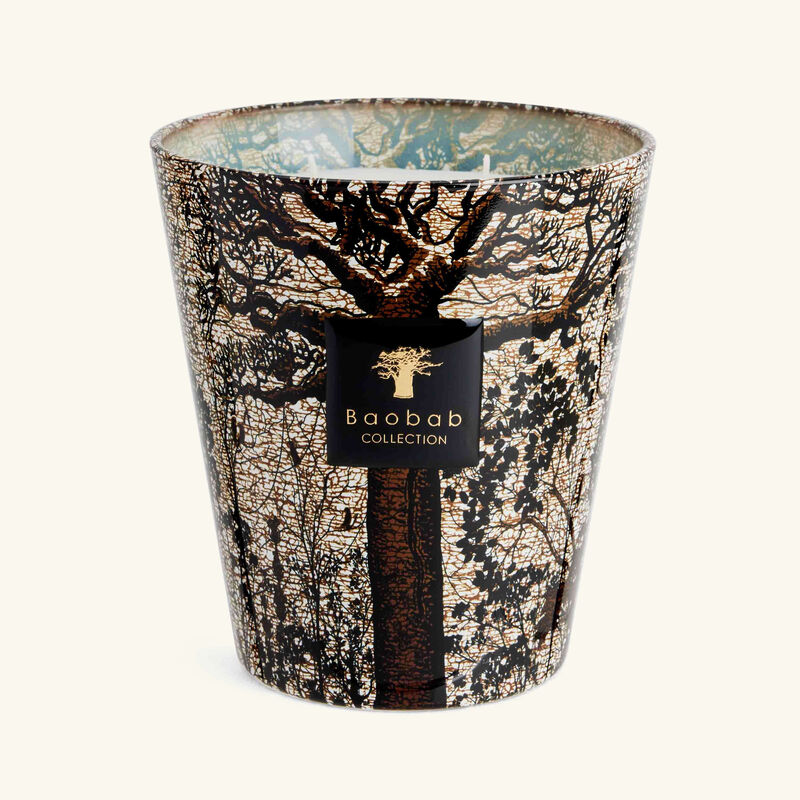 Sacred Trees Morondo Candle Max 16 baobab collection sacred trees morondo candle max 16