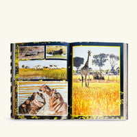 African Adventures The Greatest Safari on Earth Book 33x25cm assouline african adventures the greatest safari on earth book 33x25cm