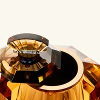 ريفليكشنز كوبنهاغن طقم الهدايا مبخرة زهرة آمبر