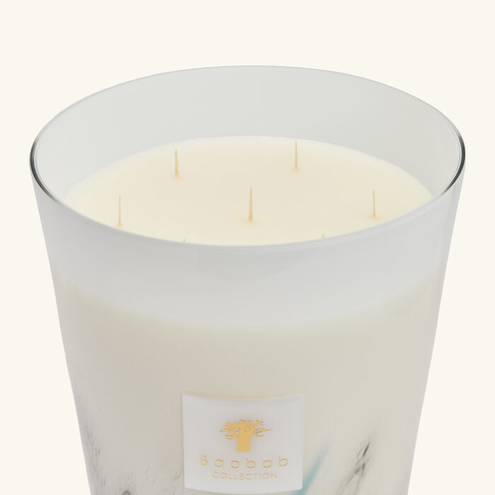 baobab collection rainforest amazonia candle maxi max