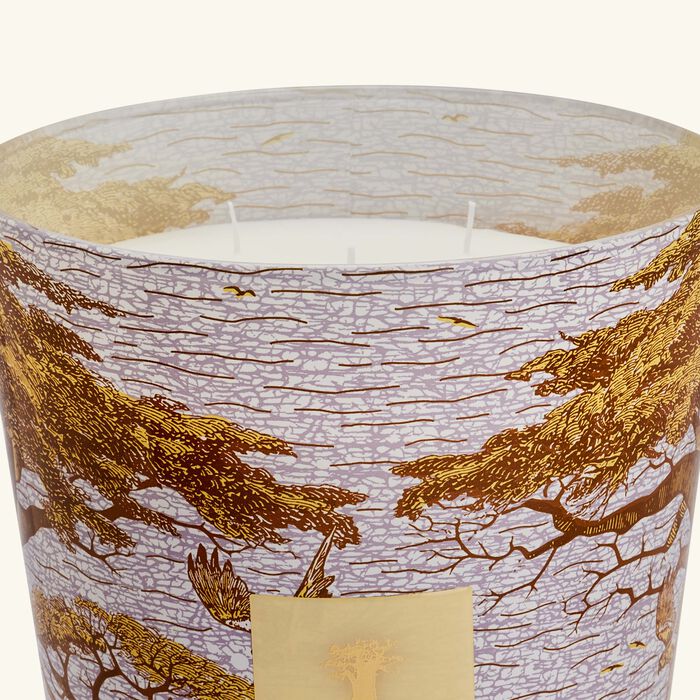 baobab collection sacred trees cocody candle max 35