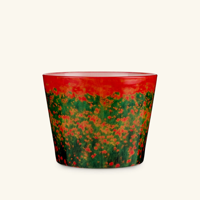 baobab collection poppies candles max 10
