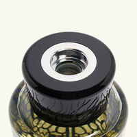Gentlemen Diffuser baobab collection gentlemen diffuser