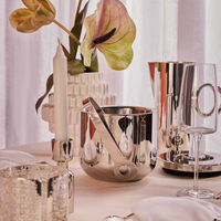 كريستوفل ملقط ثلج أو من الستانلس ستيل