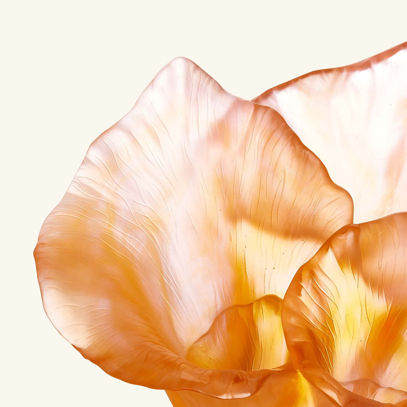 Arum Rose Vase Large Pink daum arum rose vase large pink