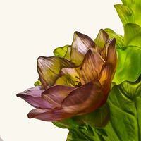 Jardin De Lotus Magnum Vase Large daum jardin de lotus magnum vase large