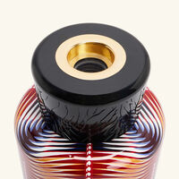 Maxi Wax Malia Nyeleti Diffuser baobab collection maxi wax malia nyeleti diffuser