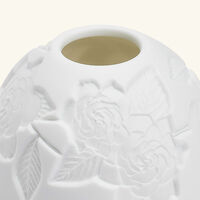 برناردو مصباح ليثوفاني جاردينيا فلاور