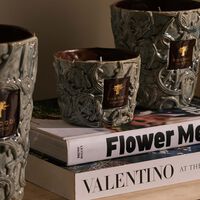 Brame Sylvanus Candle Max 16 baobab collection brame sylvanus candle max 16