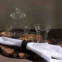 Tota Lota Pitcher Clear ira udaipur tota lota pitcher clear