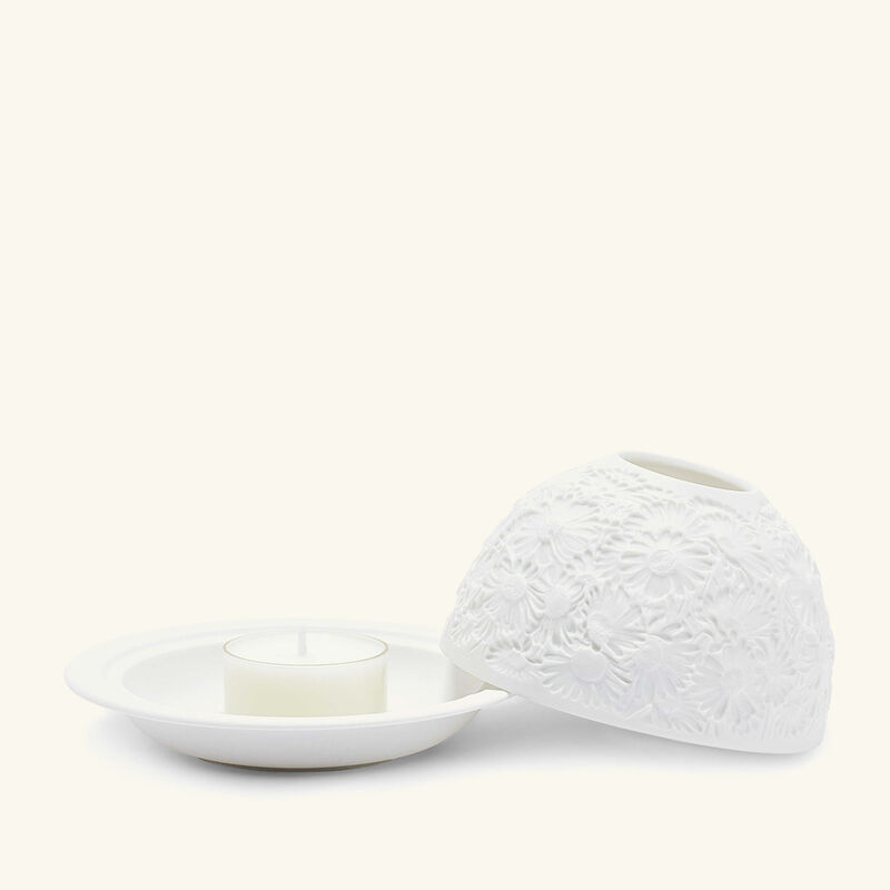 برناردو مصباح ليثوفاني ديزيز