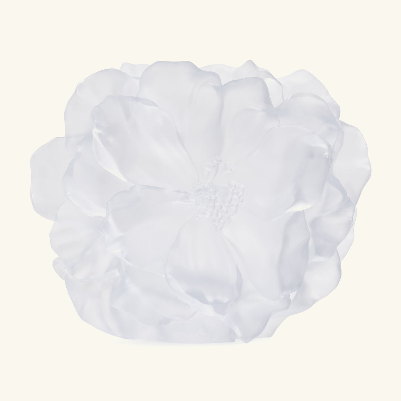 daum camellia vase medium white