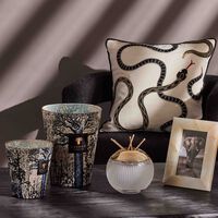 Sacred Trees Seguela Candle Max 24 baobab collection sacred trees seguela candle max 24