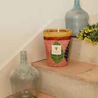 baobab collection ravintsara hanitra candle max 10