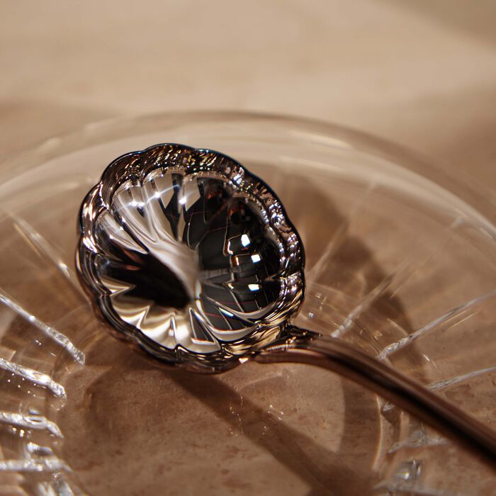 christofle albi coquille sugar ladle silver plated