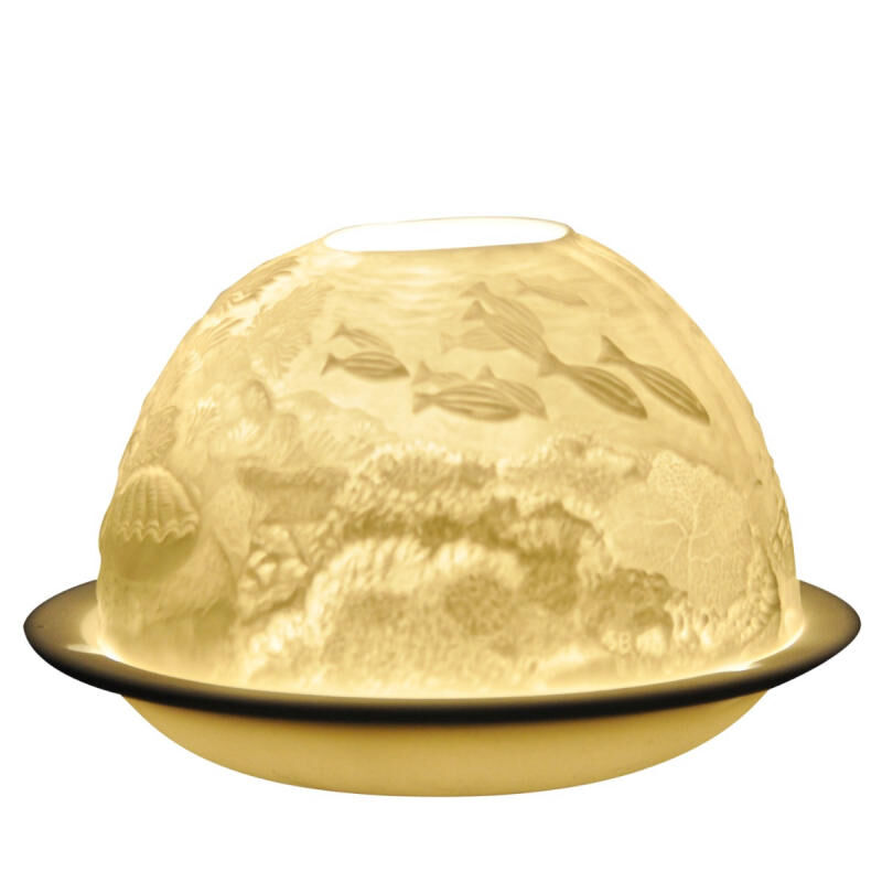 برناردو ليثيوف كورال ريفي