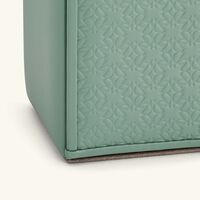 جيوبانيارا حامل أقلام إيلي صعب مونوغرام أجاتا باللون الأخضر