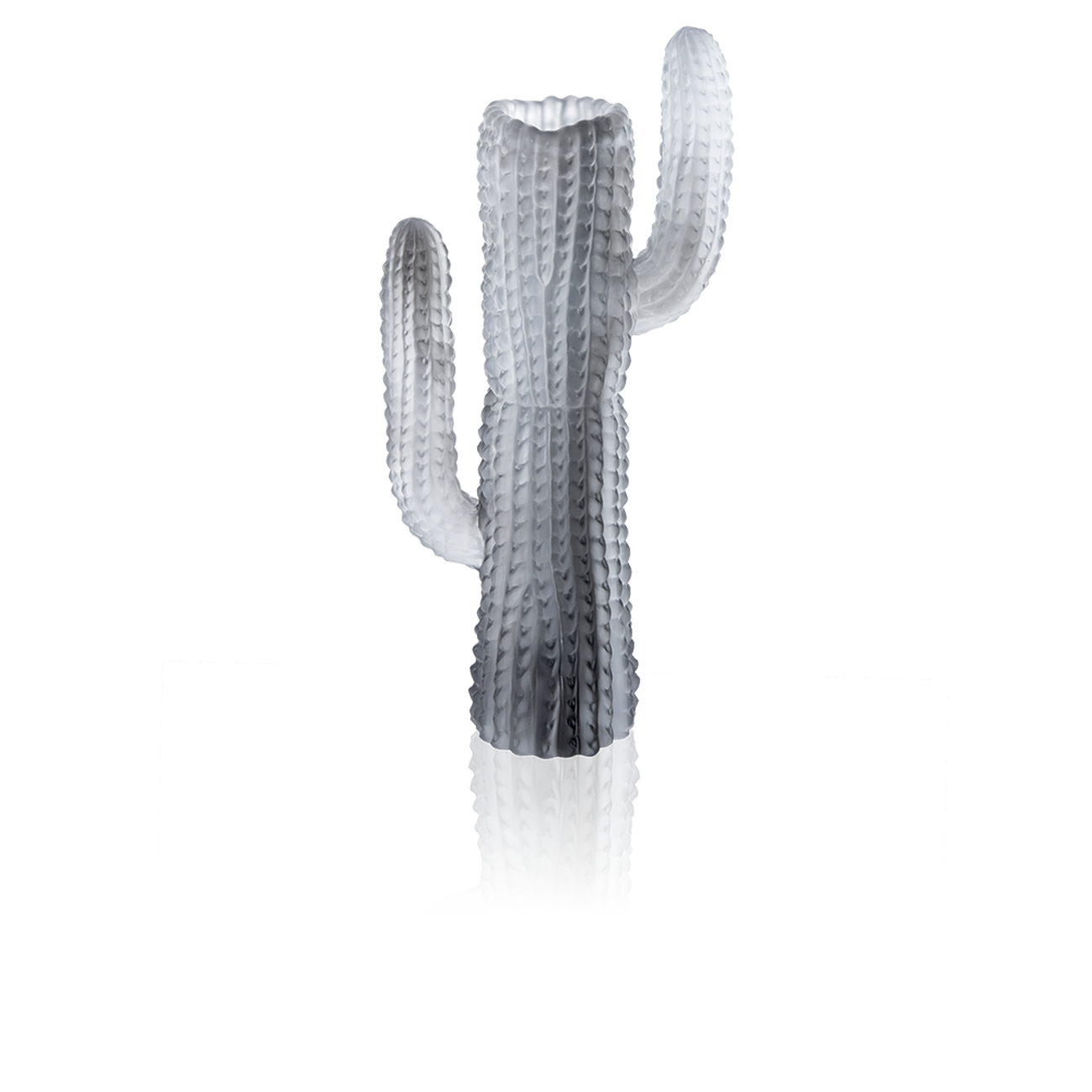 daum jardin de cactus vase large grey