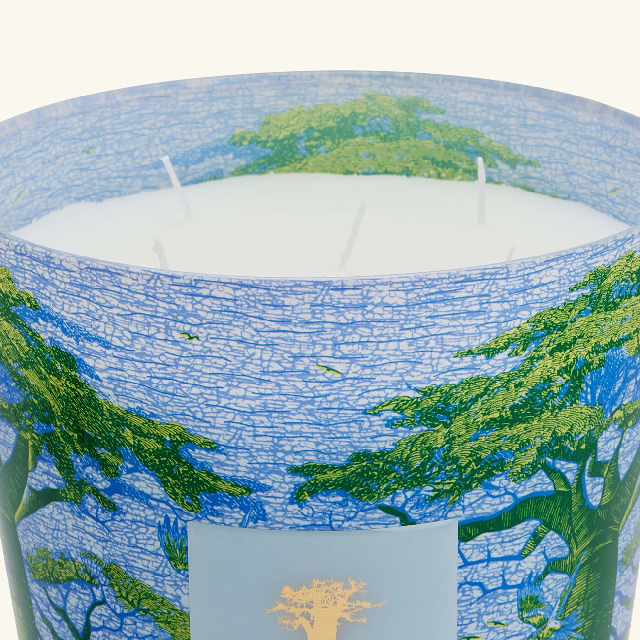 Sacred Trees Yarani Candle Max 24 baobab collection sacred trees yarani candle max 24