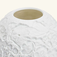 برناردو مصباح ليثوفاني وايلد فلاورز