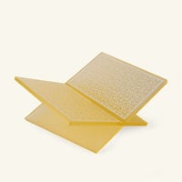 آسولين حامل كتب ذهبي