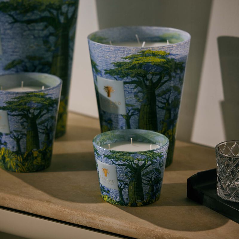 Sacred Trees Yarani Candle Max 16 baobab collection sacred trees yarani candle max 16