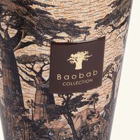 baobab collection sacred trees mankono candle max 24