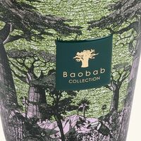 baobab collection sacred trees touba candle max 16