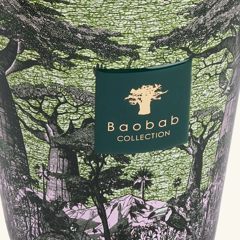 baobab collection sacred trees touba candle max 16