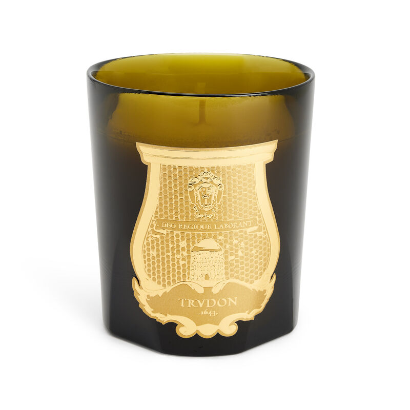 Ernesto Leather and Tobacco Classic Candle, large