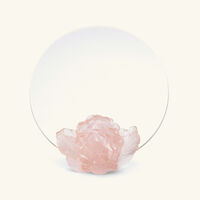 دوم مرآة كاميليا