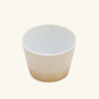 bernardaud sol drinking glass
