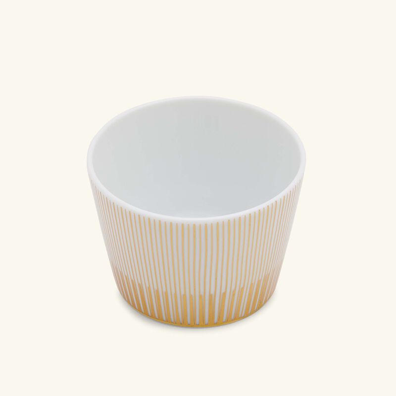 bernardaud sol drinking glass
