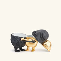 l objet haas huggers box