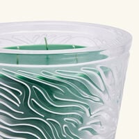 Taïga Candle lalique ta ga candle