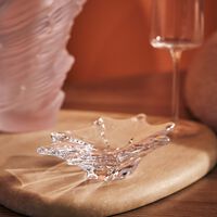 baccarat cadix ashtray round small clear