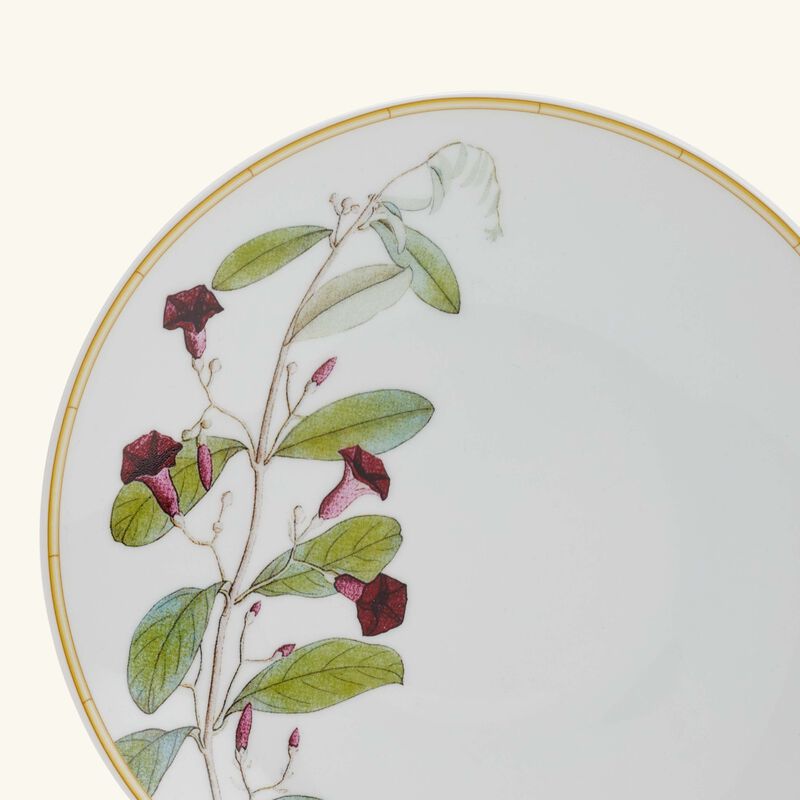 bernardaud jardin indien bread   butter plate round green 16cm