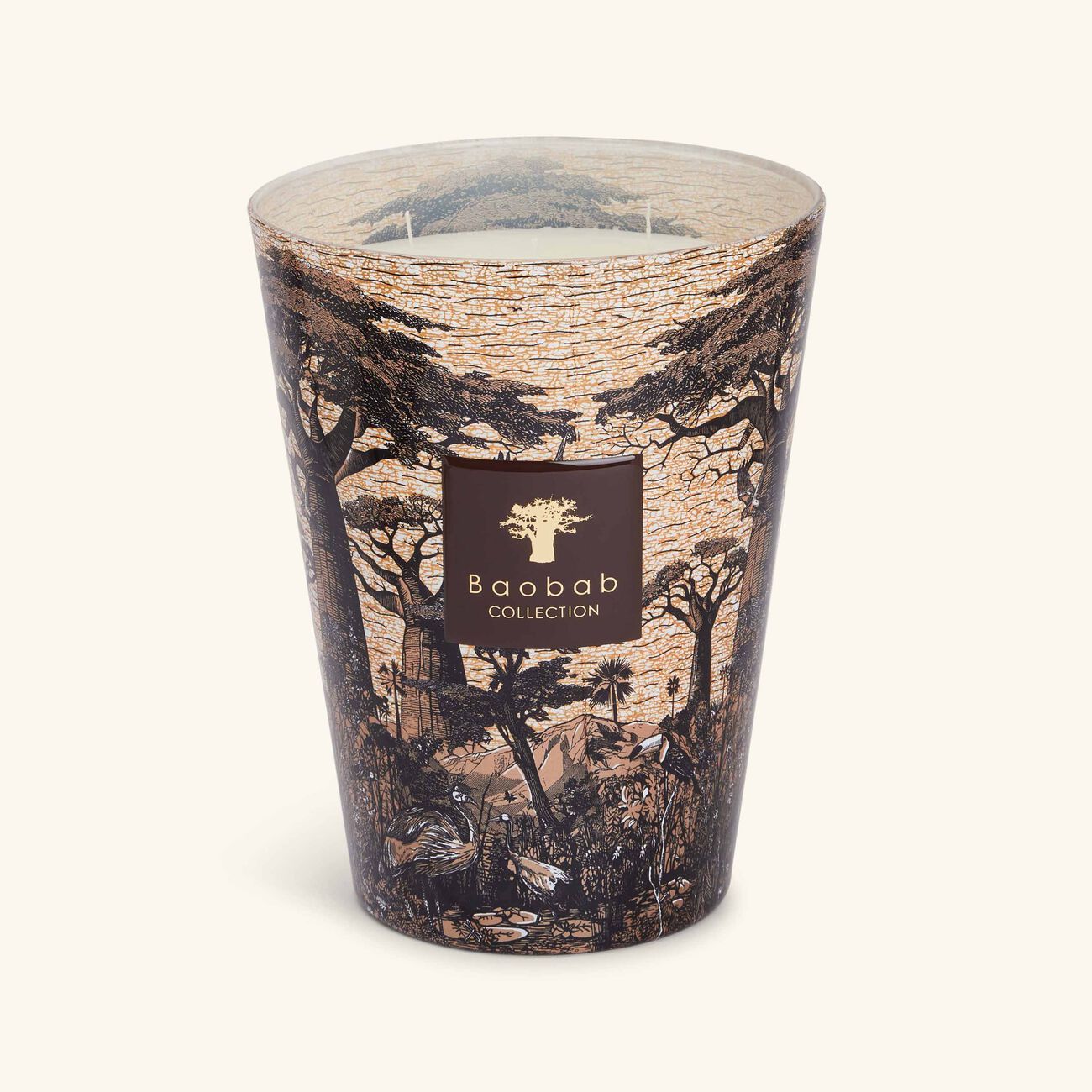 baobab collection sacred trees mankono candle max 24