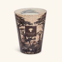 baobab collection sacred trees mankono candle max 24