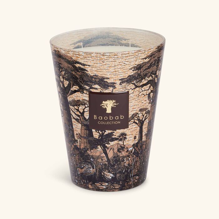 baobab collection sacred trees mankono candle max 24